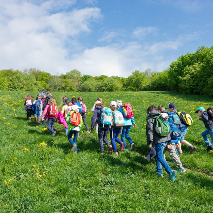 field day